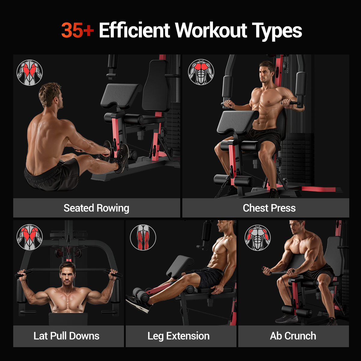 Fitness equipment with various exercises demonstrated, including seated rowing, chest press, lat pull downs, leg extension, and ab crunch.